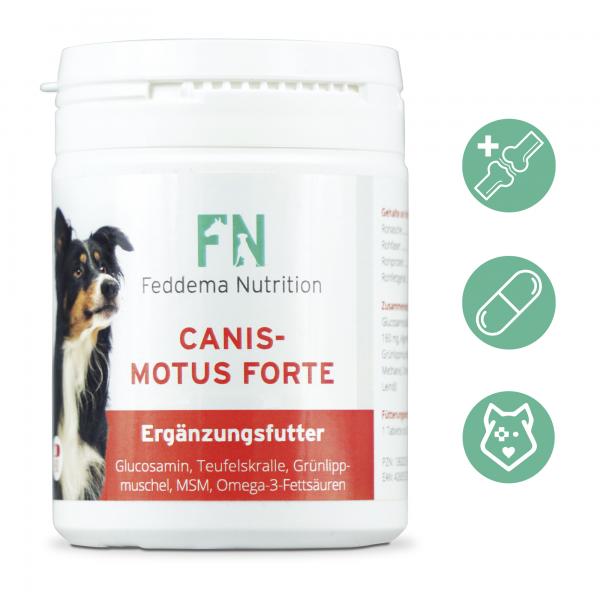 3 x Canis Motus Forte - Hunde-Ergänzungsfutter für Knorpel und Gelenke mit bis zu 3-mal mehr* Glucosamin, Teufelskralle, Grünlippmuschel, MSM