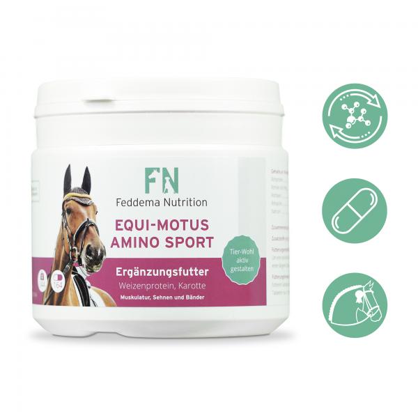 3 x Equi Motus Amino Sport - Pferde-Ergänzungsfutter für Muskeln und Energiehaushalt mit hochdosierten Aminosäuren